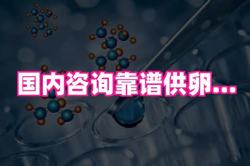 北京助孕网 2