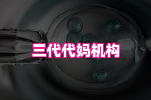 北京助孕网 4